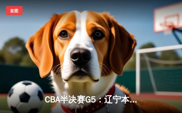 CBA半决赛G5：辽宁本钢加时险胜广东宏远 赵继伟36分带队挺进总决赛
